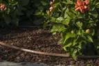 Multibar-Camo-Irritec-BR-4
