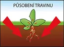 pusobeni_travinu