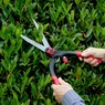 DP300-use