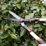 DP810-Telescopic-Hedge-Shear-easily-sharpened-carbon-steel-wavy-blades