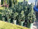 6356_Pouziti_2-pytel_pouziti3
