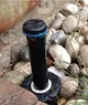 stekani PCN