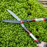 DP810-Telescopic-Hedge-Shear-ideal-for-green-growth-and-light-woody-growth-1280x1280