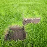 Photoroom_20250219_084449